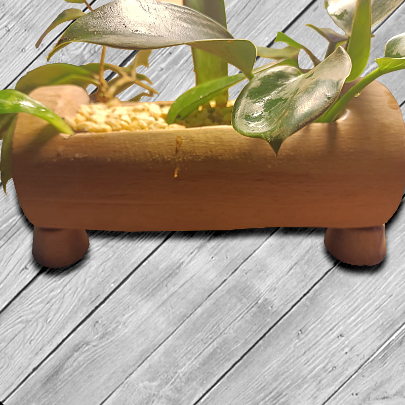 Pflanzenschale aus Holz